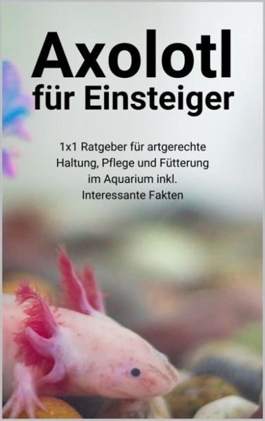 Axolotl für Einsteiger