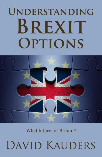 Understanding Brexit Options