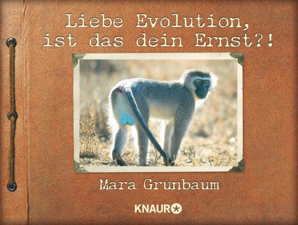 Liebe Evolution, ist das dein Ernst?!