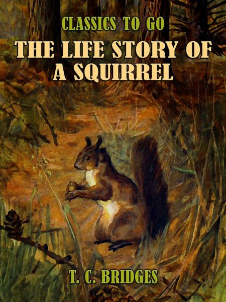 The Life Story of A Squirrel