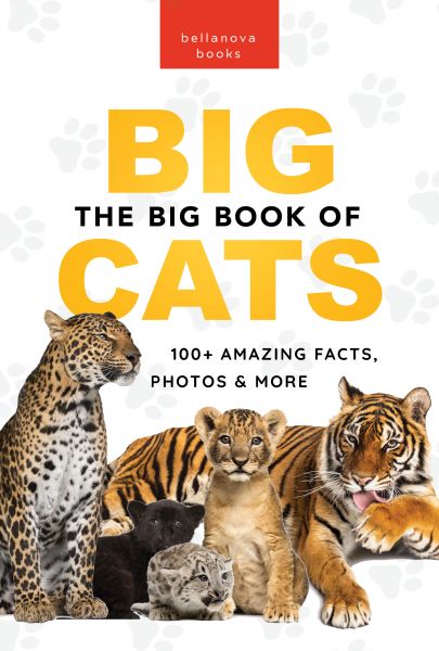 The Big Book of Big Cats