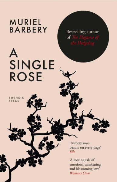 A Single Rose