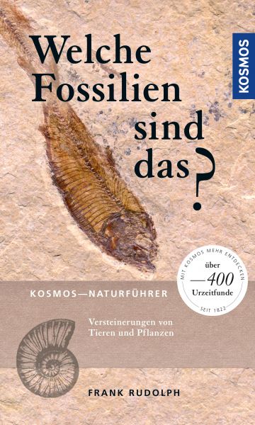 Welche Fossilien sind das?