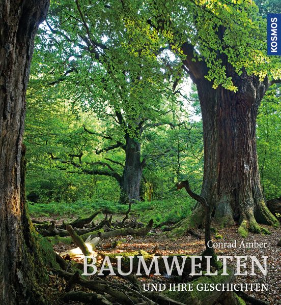 Baumwelten