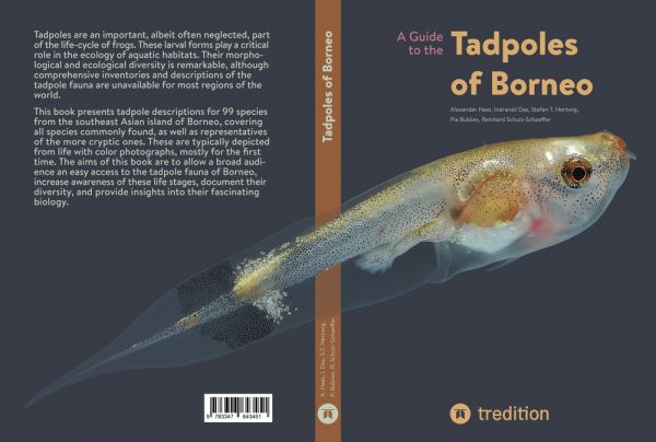 A Guide to the Tadpoles of Borneo