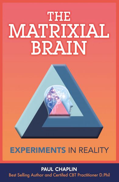 The Matrixial Brain