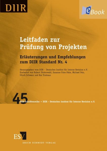 Leitfaden zur Prüfung von Projekten