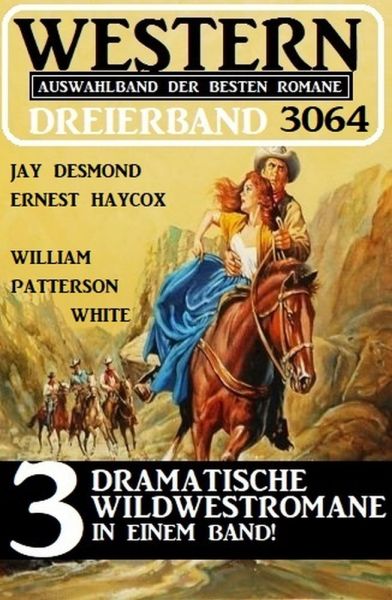 Western Dreierband 3064