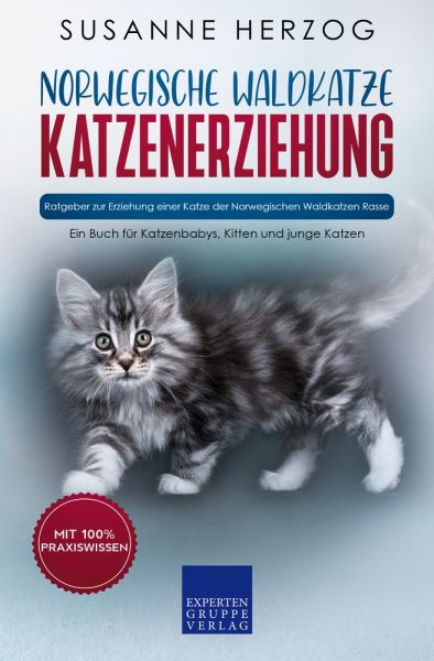 Norwegische Waldkatze Katzenerziehung - Ratgeber zur Erziehung einer Katze der Norwegischen Waldkatz