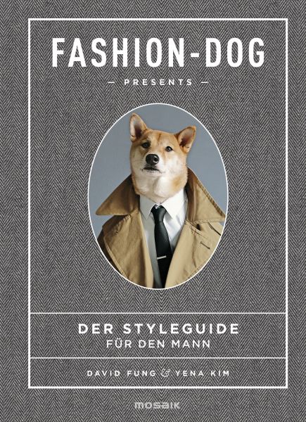 Fashion Dog