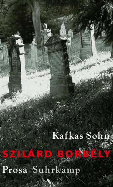 Kafkas Sohn