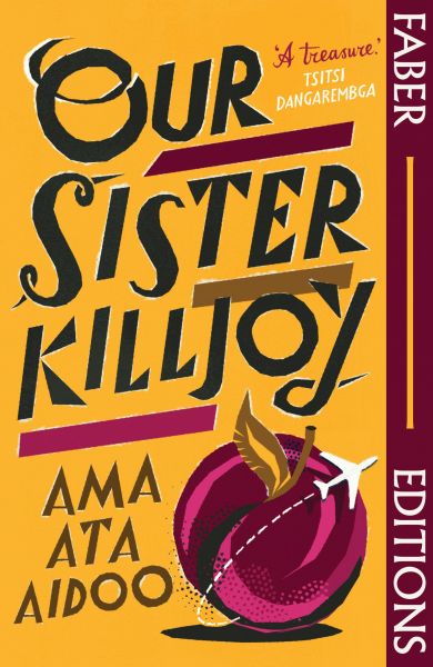 Our Sister Killjoy (Faber Editions)