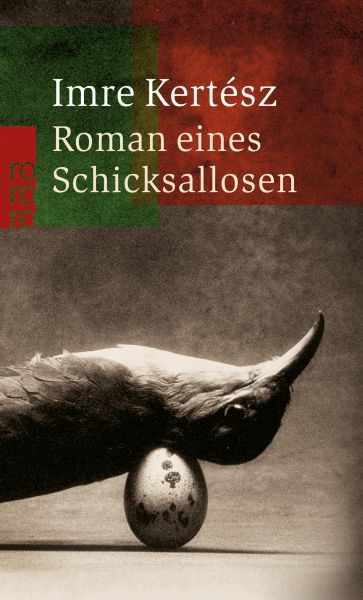 Roman eines Schicksallosen