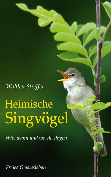 Heimische Singvögel