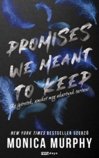 Promises We Meant To Keep