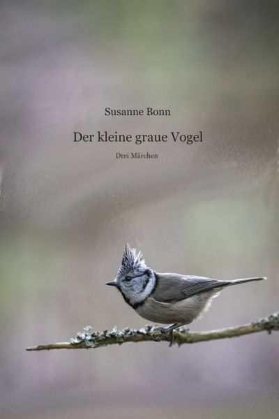 Der kleine graue Vogel