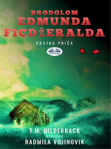 Brodolom Edmunda Ficdžeralda - Kratka Priča