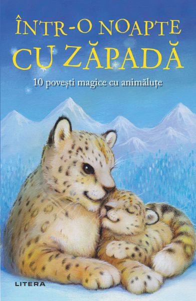 Intr-o noapte cu zapada