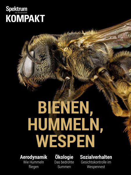 Spektrum Kompakt - Bienen, Hummeln, Wespen