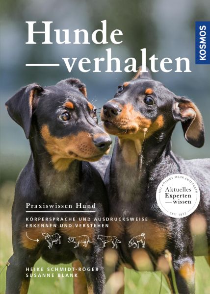 Hundeverhalten