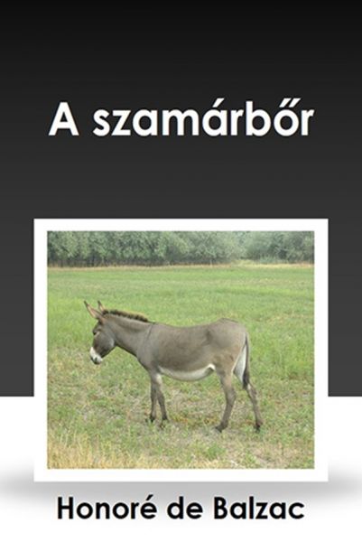 A szamárbőr