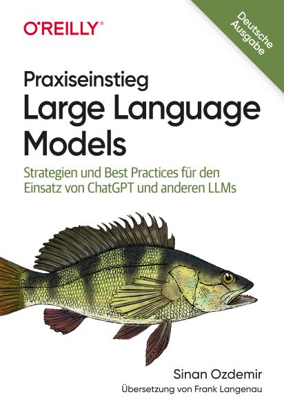 Praxiseinstieg Large Language Models