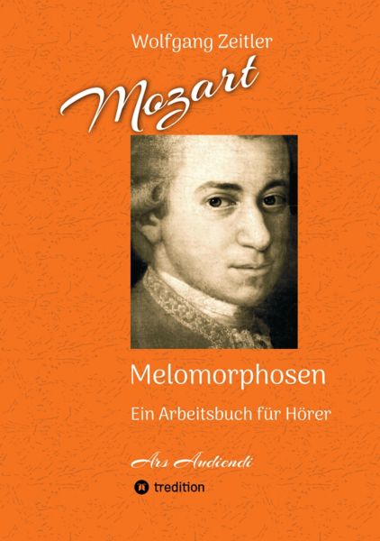 Mozart - Melomorphosen: Früchte der Musikmeditation, sichtbar gemachte Informationsmatrix ausgewählt