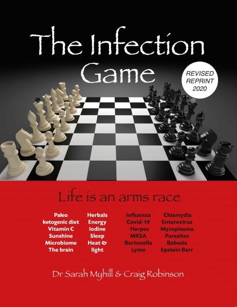 The Infection Game