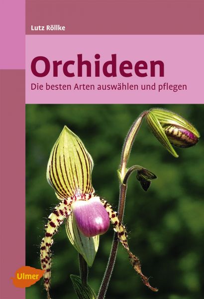 Orchideen