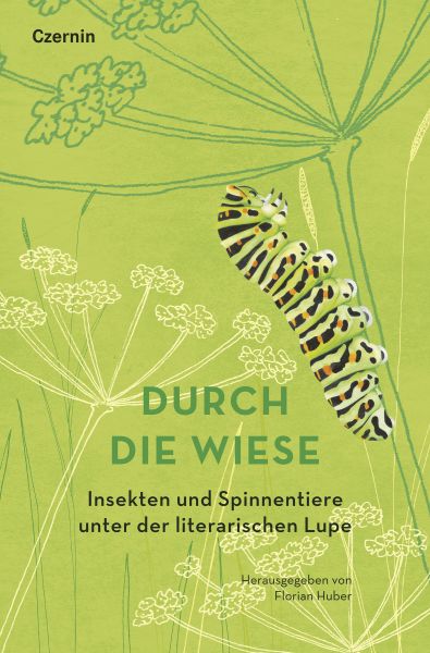 Durch die Wiese