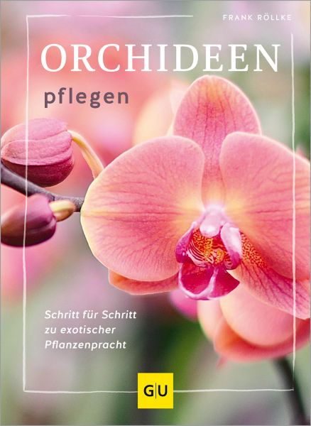 Orchideen pflegen