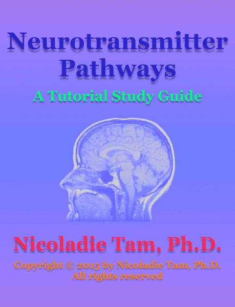 Neurotransmitter Pathways: A Tutorial Study Guide