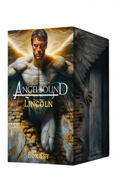 Lincoln Box Set