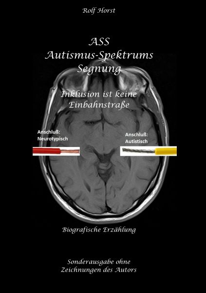 ASS Autismus-Spektrums-Segnung - Inklusion ist keine Einbahnstraße: hochfunktionaler Autismus, Mobbi