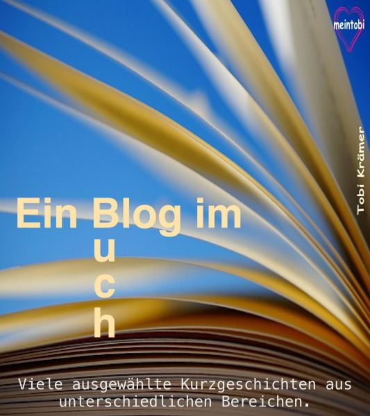 Ein Blog im Buch