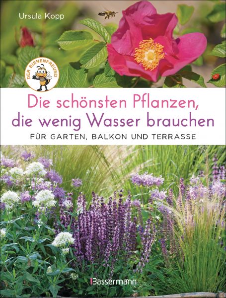 Die schönsten Pflanzen, die wenig Wasser brauchen für Garten, Balkon und Terrasse - 66 trockenheitsv