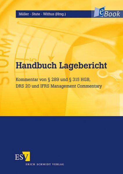 Handbuch Lagebericht