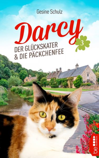 Darcy - Der Glückskater und die Päckchenfee