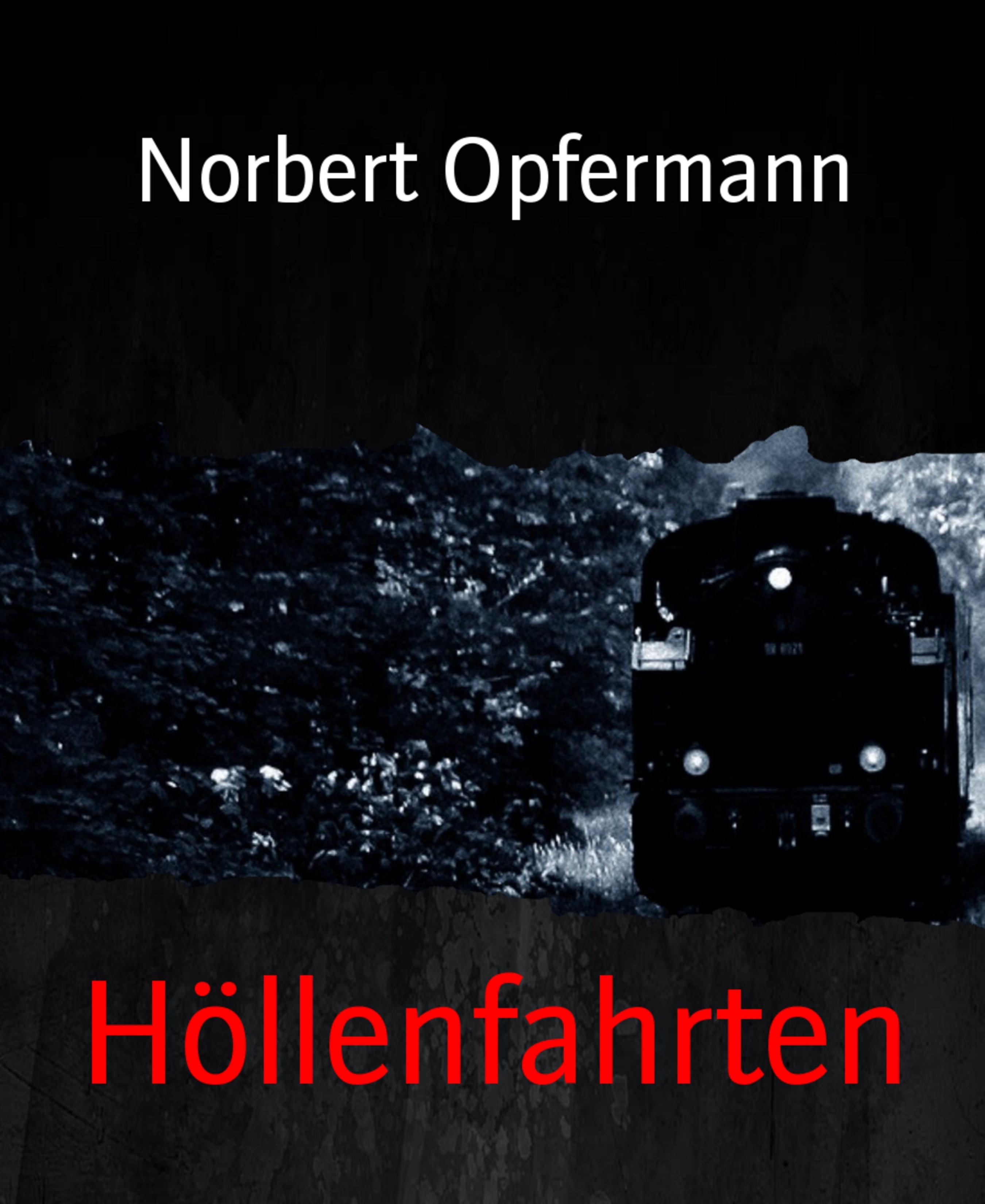 Höllenfahrten (Norbert Opfermann