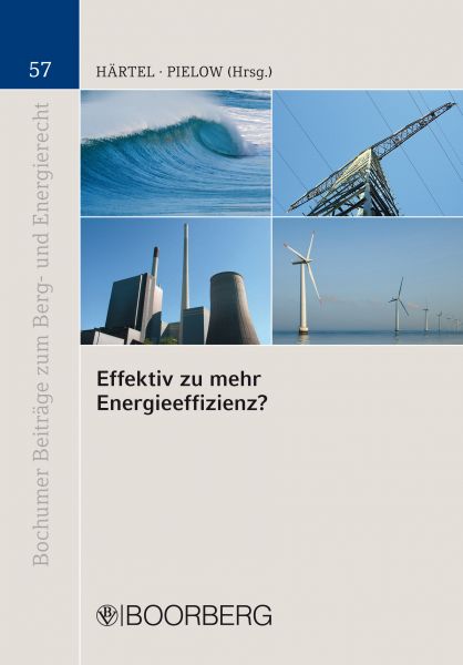 Effektiv zu mehr Energieeffizienz?